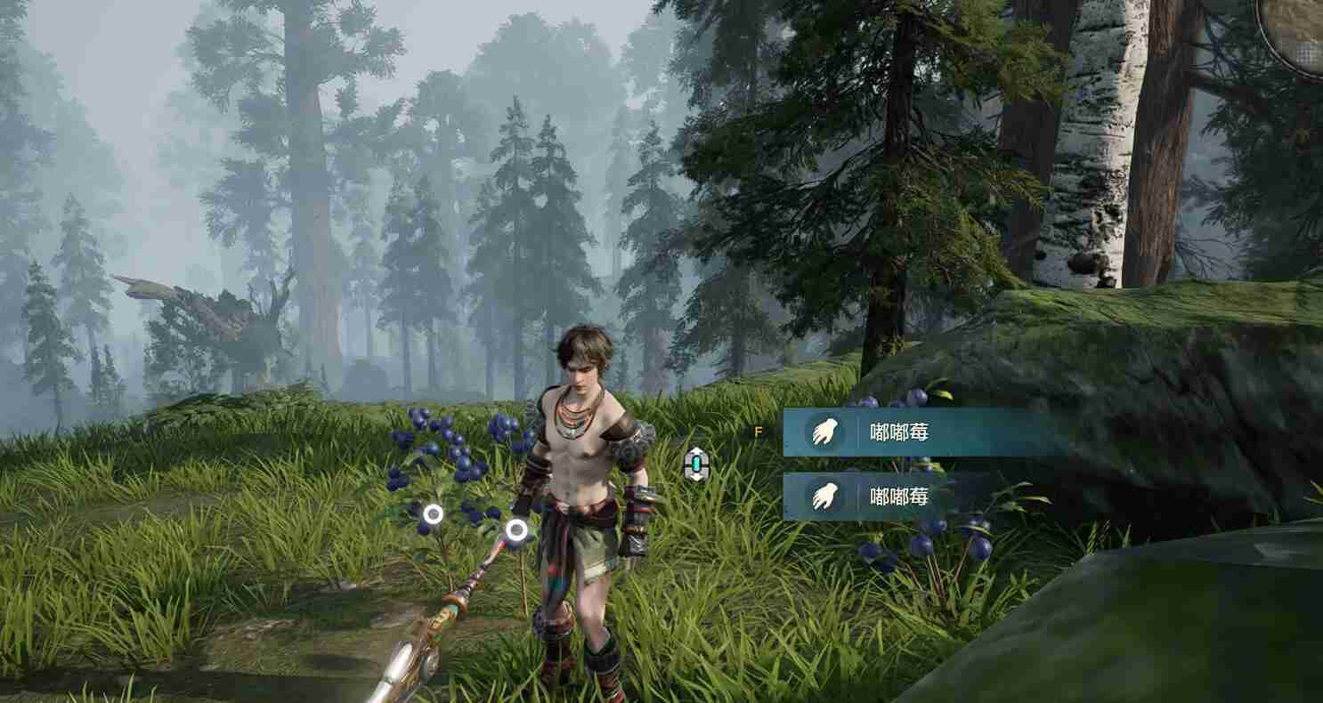 《荒野起源》放逐森林玩法介绍