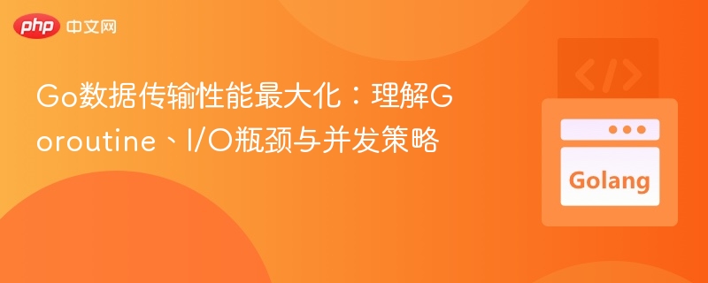 Go数据传输性能最大化：理解Goroutine、I/O瓶颈与并发策略
