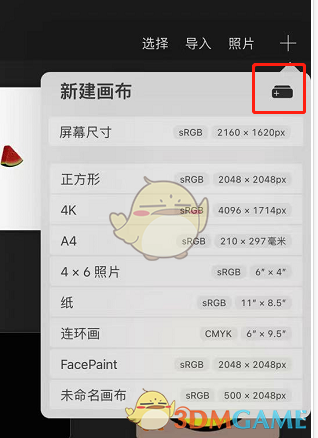 Procreate画布自定义设置教程详解