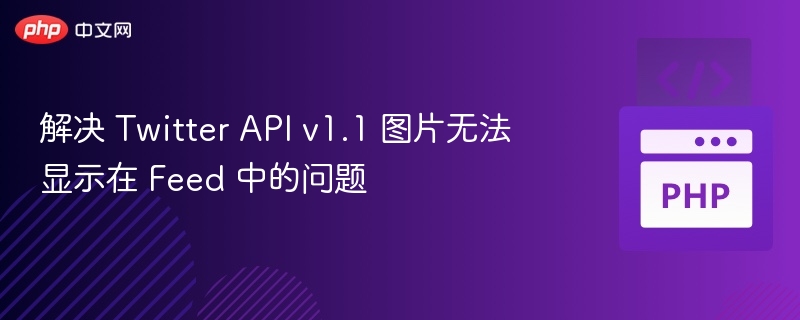 TwitterAPIv1.1图片加载失败解决方法