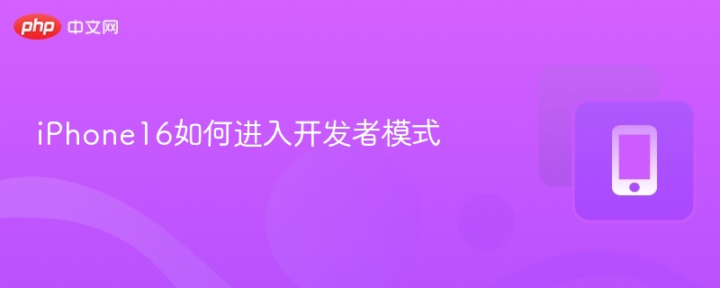 iPhone16如何进入开发者模式