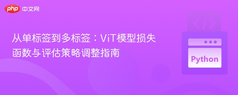从单标签到多标签:ViT模型损失函数与评估策略调整指南