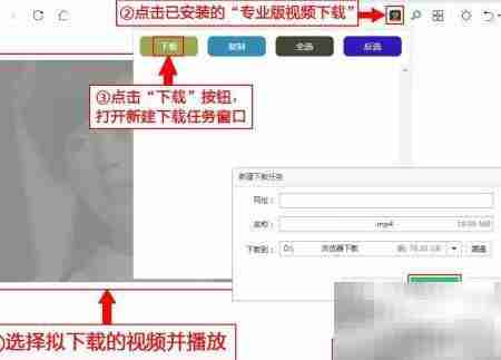 专业版视频下载安装教程