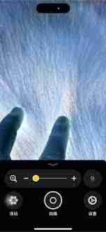 iPhone能检查宠物身上有虫子吗