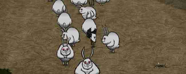 《饥荒联机版》机缘兔子两种形态介绍