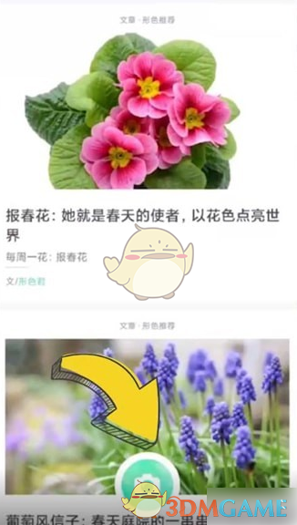 《形色》识别植物方法