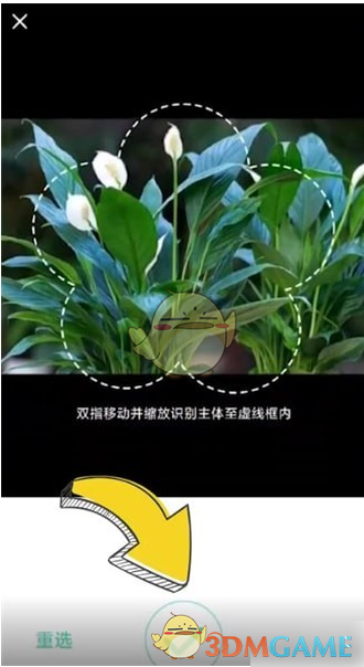 《形色》识别植物方法