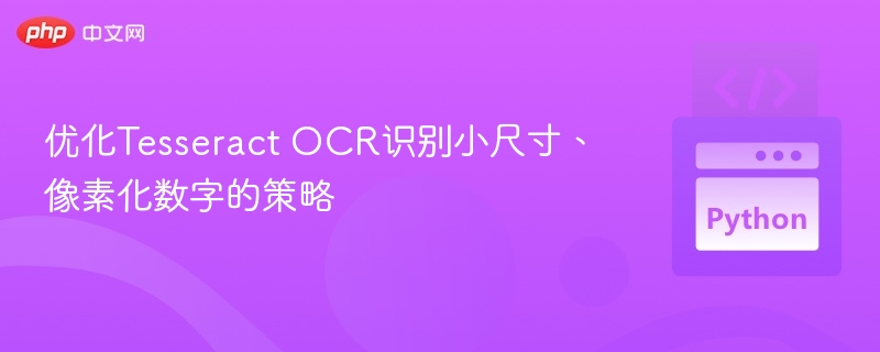 小尺寸数字识别优化技巧分享