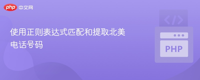 使用正则表达式匹配和提取北美电话号码