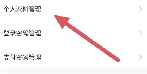 代练丸子头像修改方法
