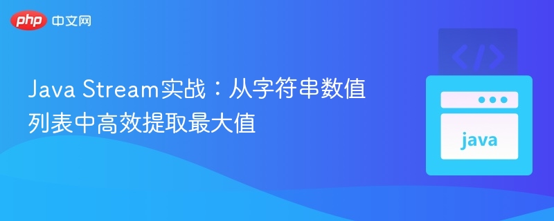 JavaStream找最大字符串技巧