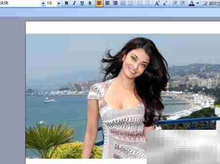 PowerPoint 2003插入图片方法