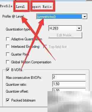 Xvid编码器参数设置指南
