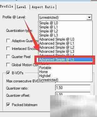 Xvid编码器参数设置指南