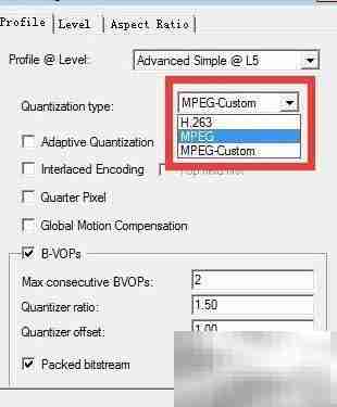 Xvid编码器参数设置指南