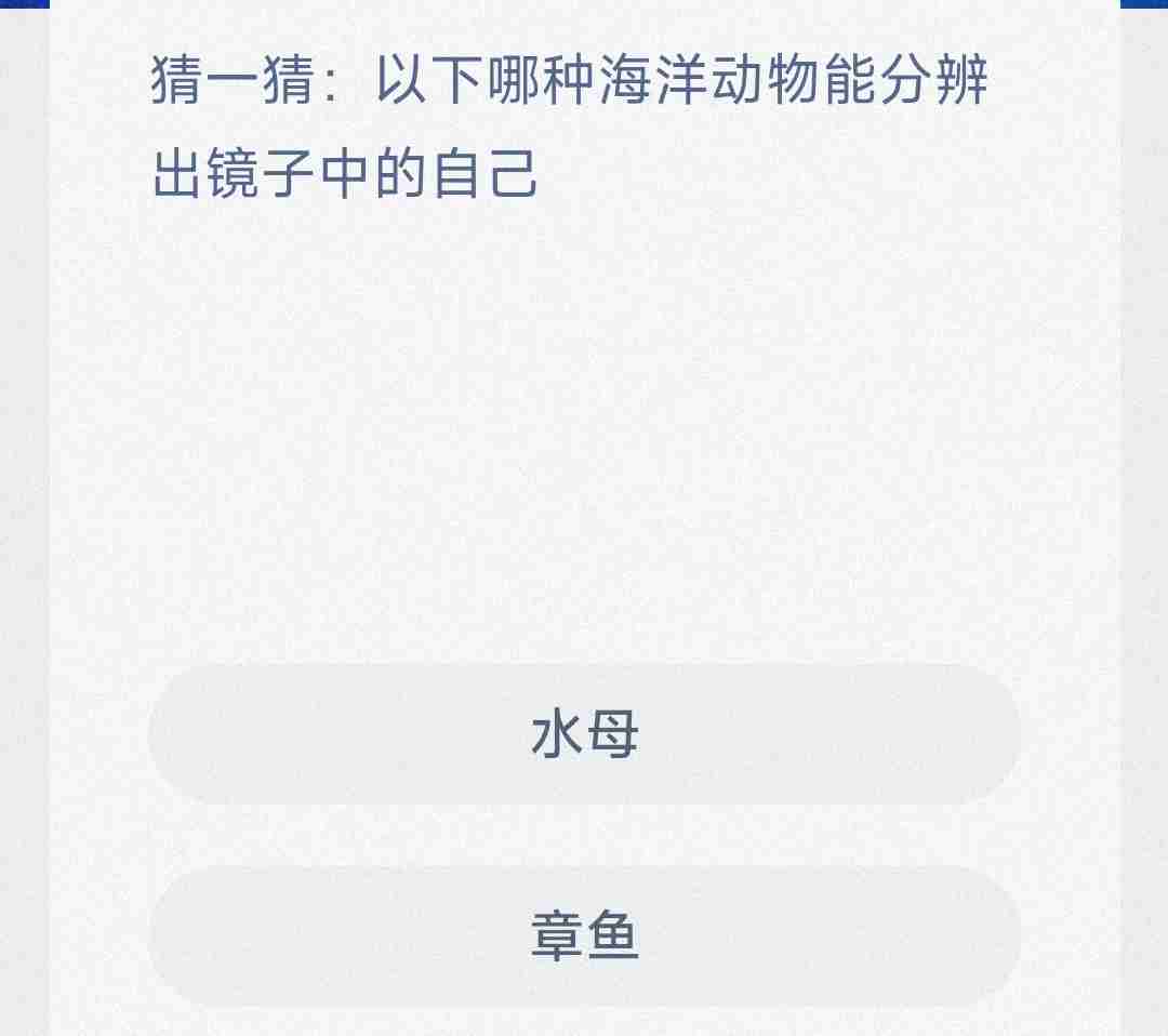 猜一猜以下哪种海洋动物能分辨出镜子中的自己