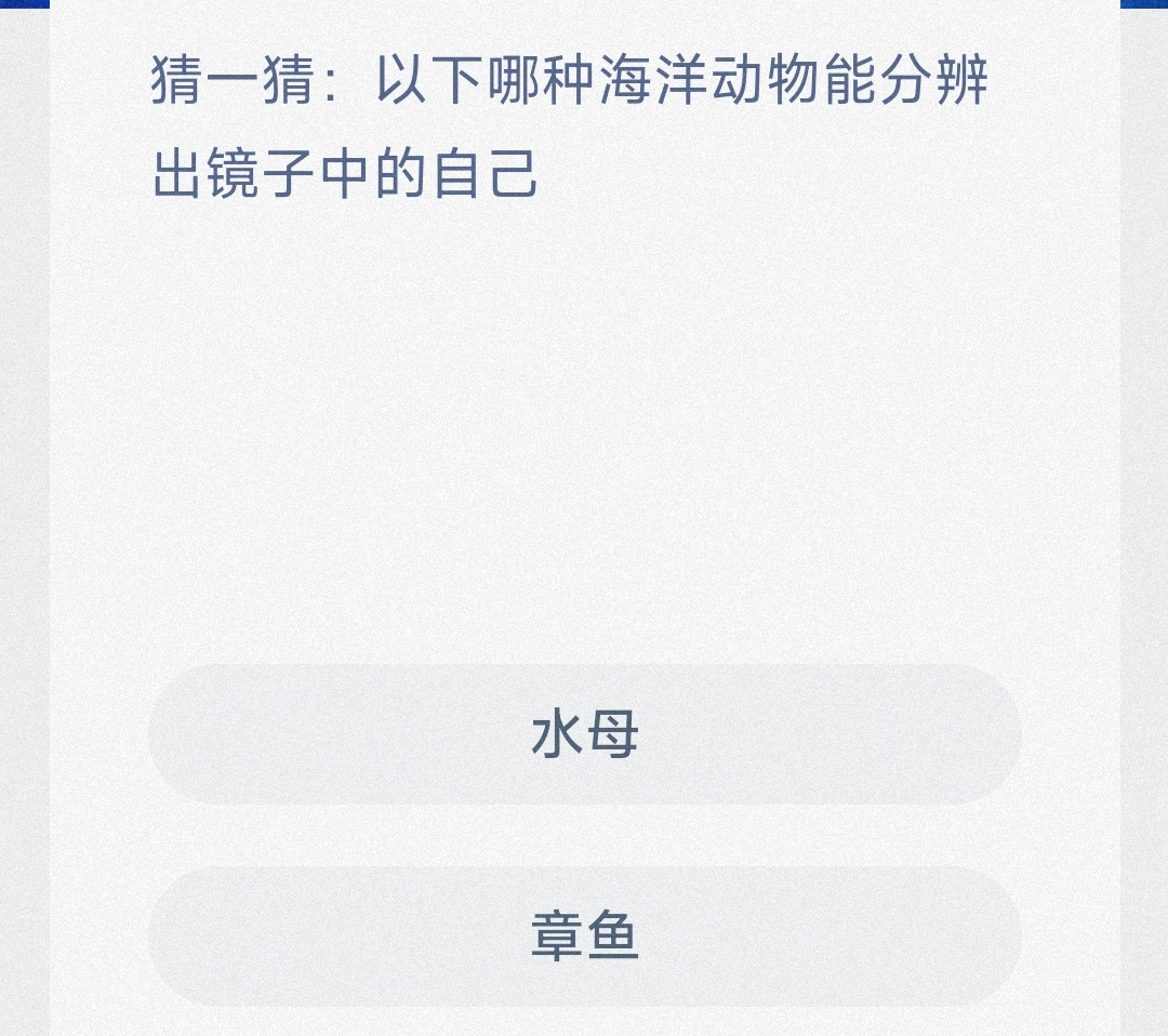 镜中人是谁？海洋动物大揭秘