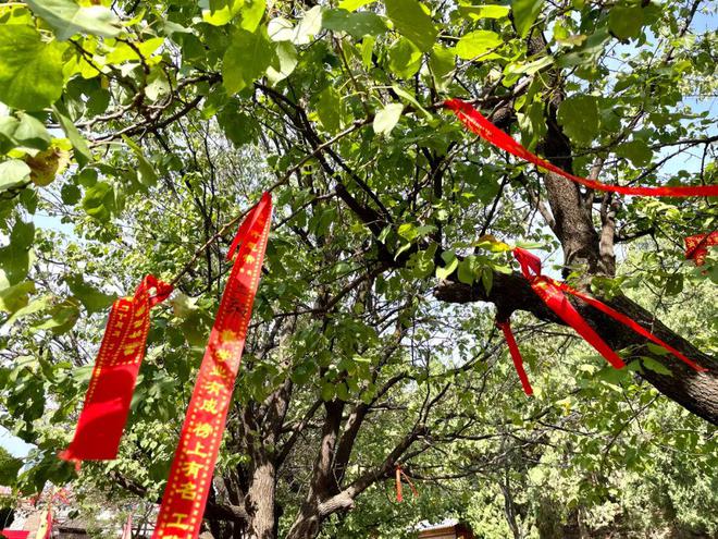 重阳登高祈福，古人敬老习俗详解