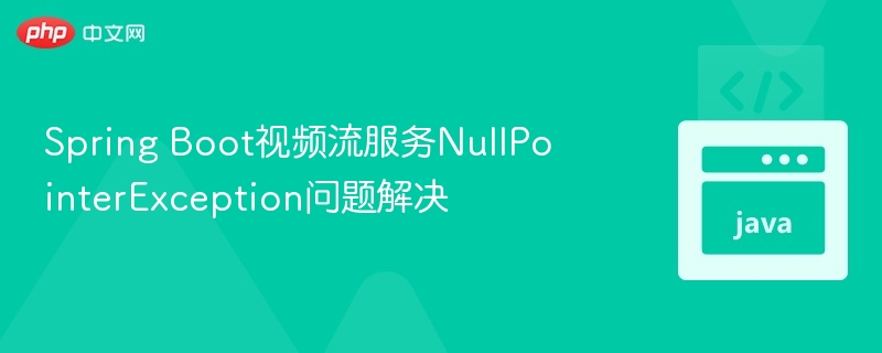 Spring Boot视频流服务NullPointerException问题解决