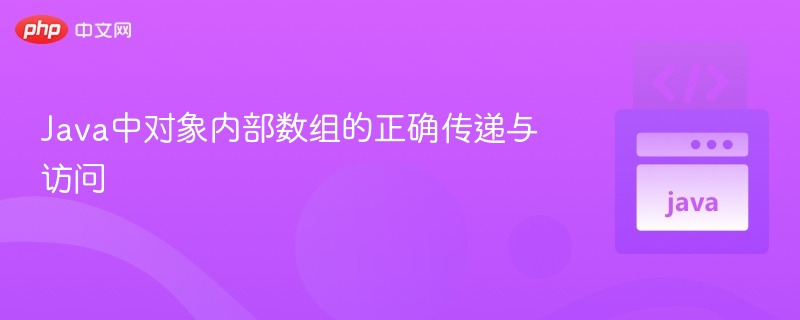 Java对象数组传递与访问方法