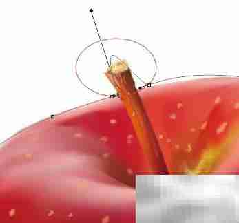 PS钢笔工具路径编辑技巧