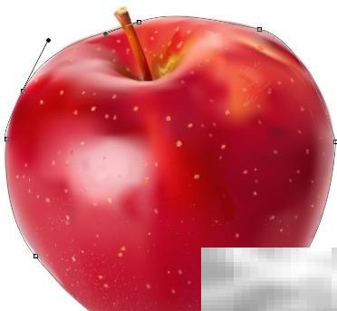 PS钢笔工具路径编辑技巧大全