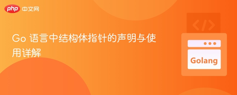 Go 语言中结构体指针的声明与使用详解