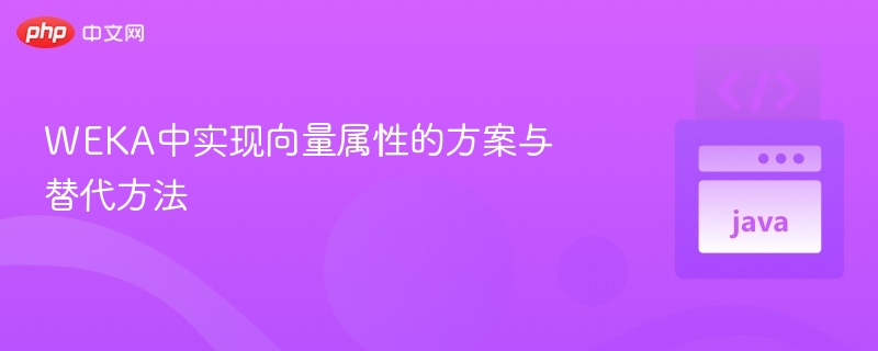 WEKA向量属性设置与替代方案解析