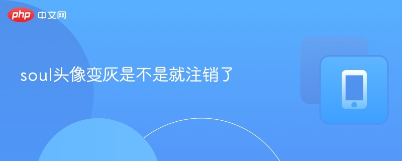 Soul头像变灰怎么回事
