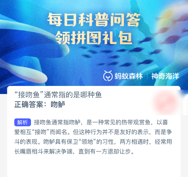 接吻鱼是什么鱼？真相大揭秘！