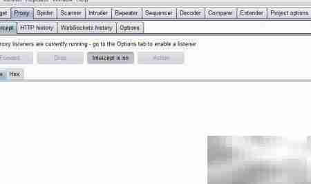 文件上传绕过技巧解析