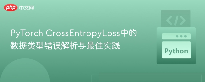 PyTorchCrossEntropyLoss错误解决方法