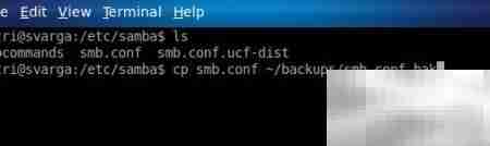 Linux家庭服务器备份指南