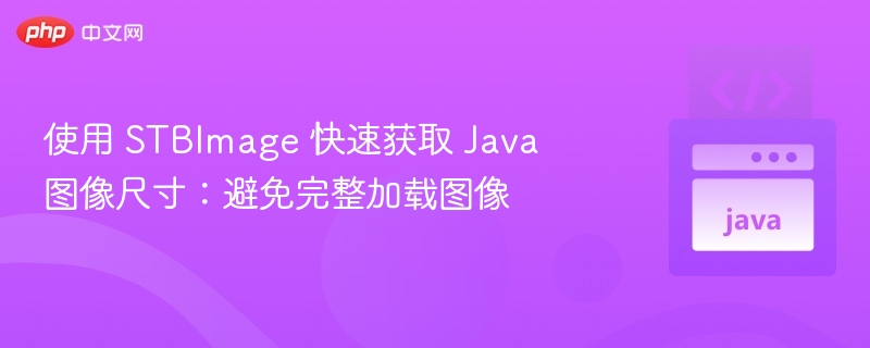 使用 STBImage 快速获取 Java 图像尺寸:避免完整加载图像
