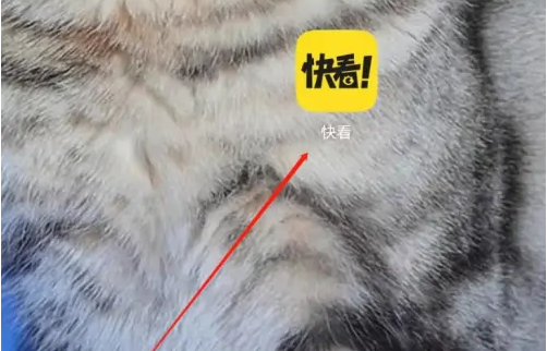 快看漫画视频教程全解析