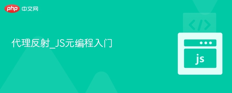 代理反射：JS元编程入门详解