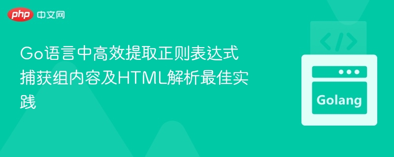 Go语言正则提取与HTML解析技巧