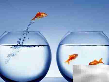 外贸人老去后的职业转型