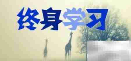 外贸人老去后的职业转型