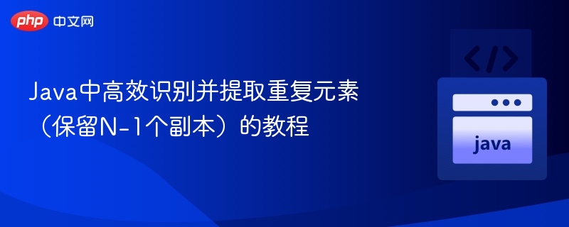 Java高效去重方法：保留N-1个重复项