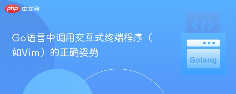 Go调用Vim等终端工具的技巧