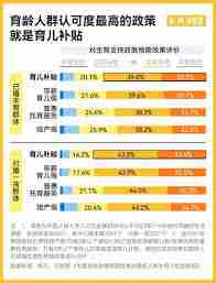 育儿补贴政策能持续到何时