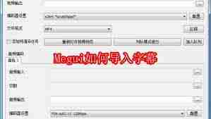 Megui怎么导入字幕