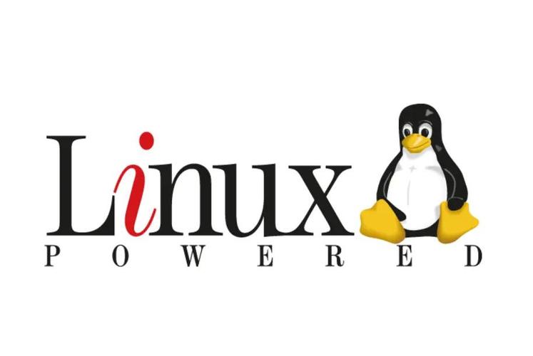 Linux文件校验：md5sum与sha256sum教程