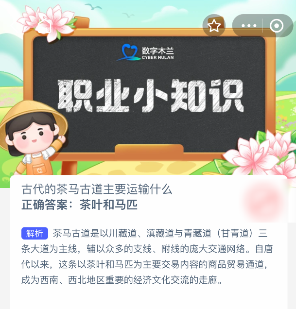 茶马古道茶叶马匹运输路线解析