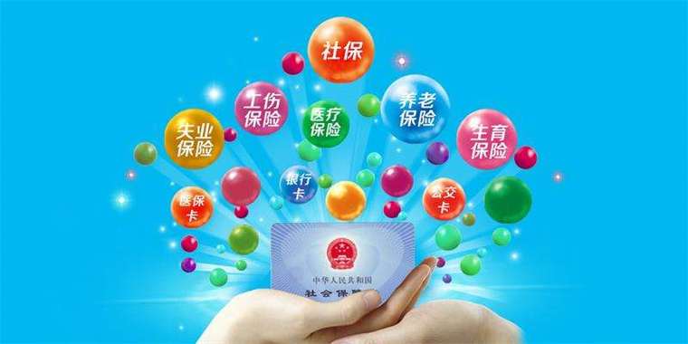 社保费申报失败怎么办？解决方法全解析