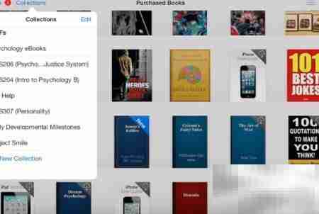 iPad图书软件使用指南