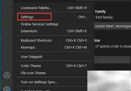 VS Code字体大小设置方法