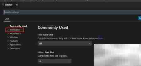 VS Code字体大小设置方法