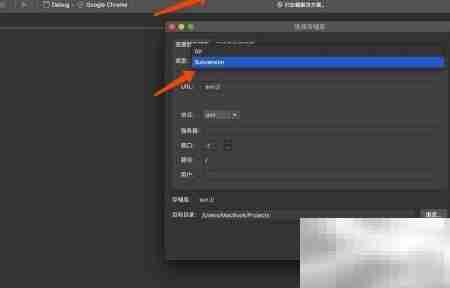 VS2019 for Mac安装SVN插件指南